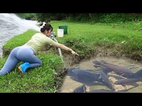 Fishing video, Wild fishing exciting, Secret to catch big