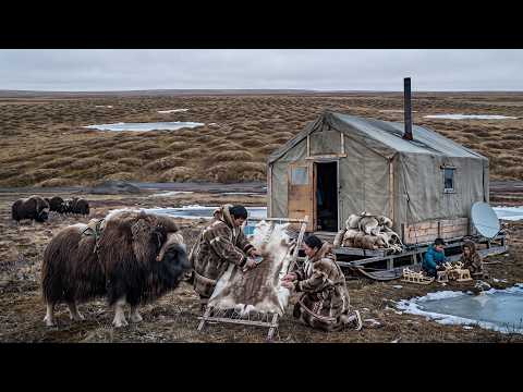 How Arctic Tribes Survive in The Coldest Place on Earth |