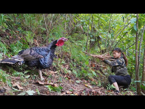 spot, turkey, set traps, shoot squirrels, move to new