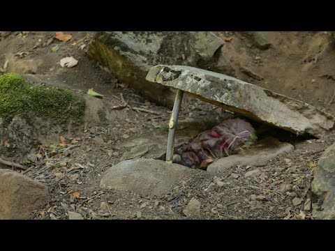 I Survived For Seven Days With Primitive Methods