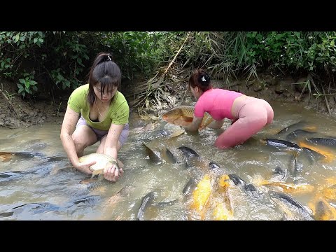 The Young Girl's Excellent Fishing Skills on The River and