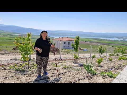 KÖYDE YAŞAM YENİ İNŞAATIMIZIN KALIPLARINI SÖKÜYORUZ HATİCE