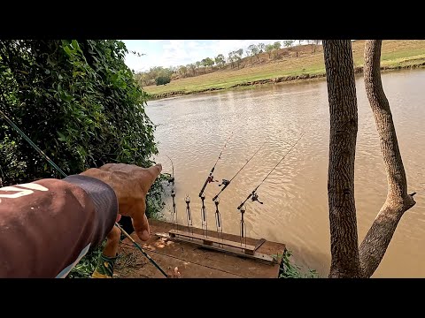 Pescaria de Piapara e curimba não dá pra acreditar se não