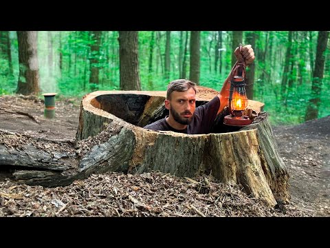 Building The Most Secret Dugout For Survival In An Old Tree