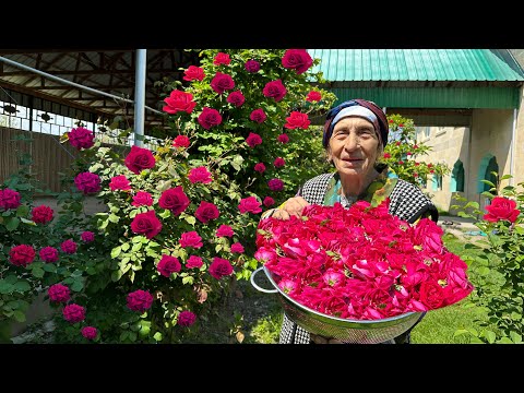 Picking Roses and Making ROSE Jam, Three sisters Dolma,