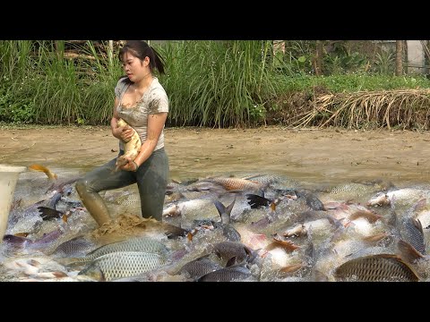 Full Videos: Village Life, Survival Fishing In the Woods,