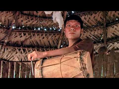 Ashaninka, Les gardiens de la forêt amazonienne