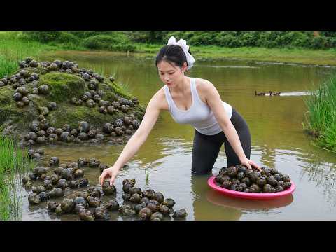150 Days of Harvesting Snails for a Living - Discovery of a