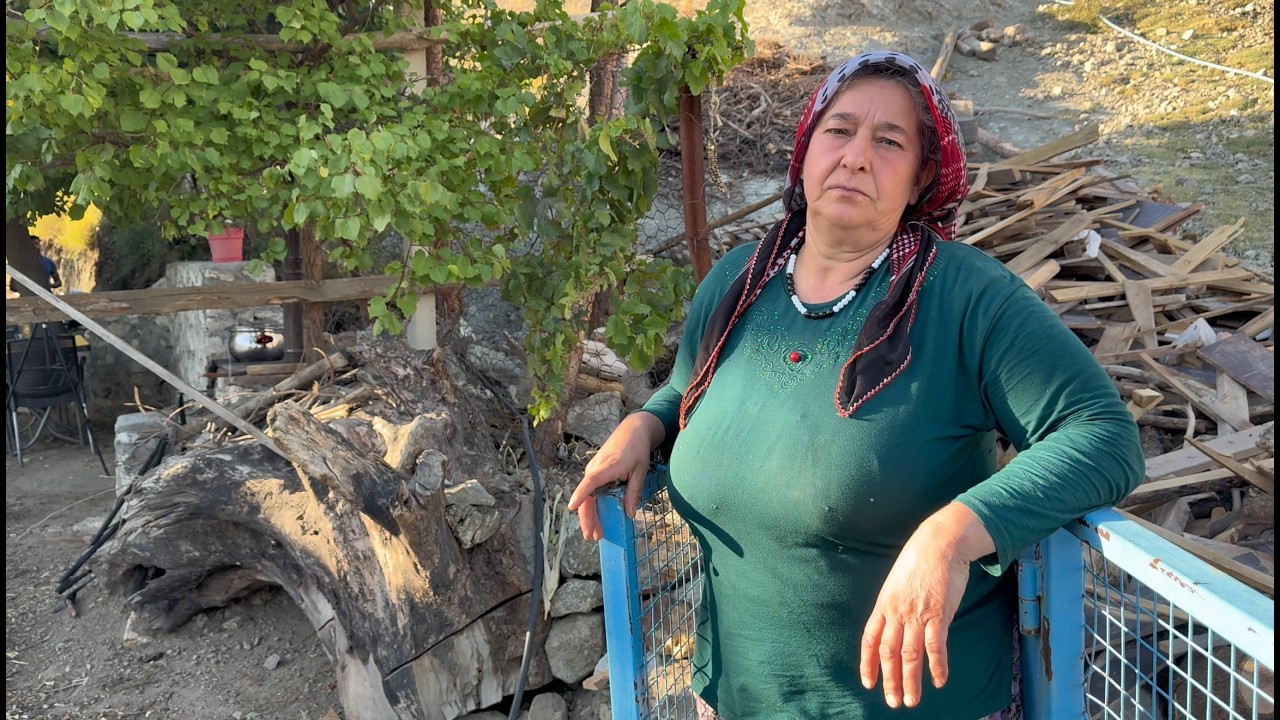 Dağda Yaşayan Büyük Ailenin Hayatı / 484 Bölüm