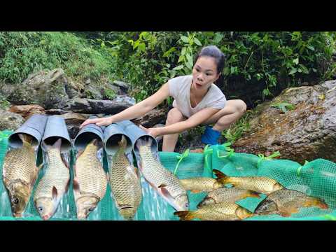 Ana used PVC pipes and green netting; she was lucky enough