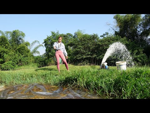 Fishing Techniques, Unique Fishing Video, Exciting Fishing,