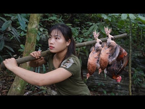 Discovered Wild Chicken Tracks, Set a Trap to Catch It in