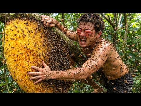 Risking It All for Wild Honey at 100m A Storm Suddenly