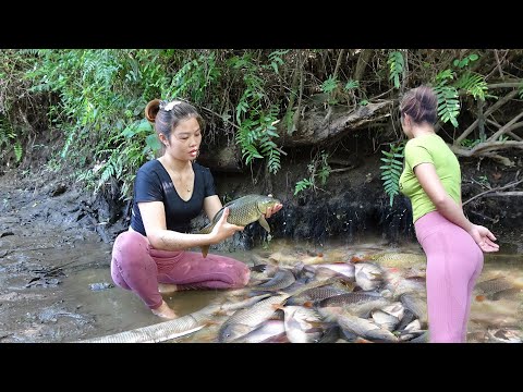 Unique Fishing - Harvest Fish From Wild Lakes - Go To Sell