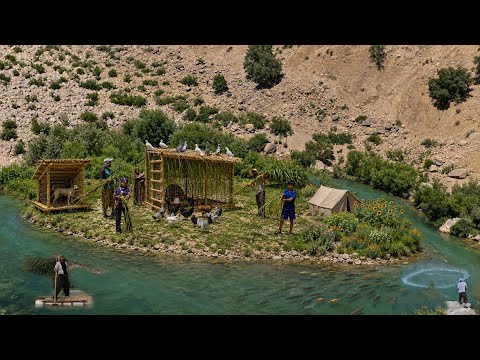 Nomadic Family Builds a Summer Shelter for Chickens & Dog