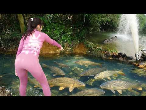 Create a Fish Trap, Uses Bait to Attract Fish Into The