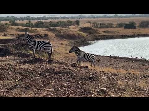 Bye,Masai Mara