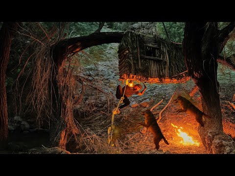 “Building a Suspended Cabin to Survive Nights Full of