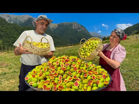 Magical Gifts Of Figs And Blackberries From The Garden Of A