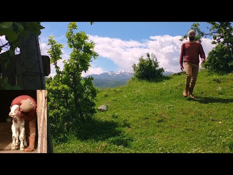Medeniyetten uzak bir köyde mutluluğun gerçek yüzü Köy