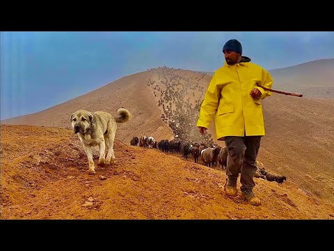 EN ZOR GÜN YAĞMUR ÇAMUR 30 km YOL YÜRÜDÜK (30 gün)