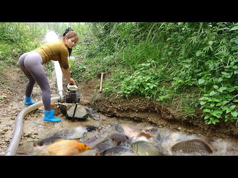Full Videos: Girl's Daily Life, Harvesting a Lots of Fish