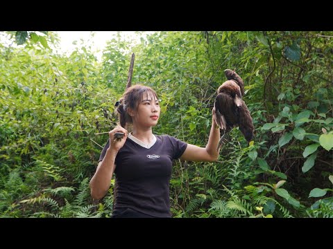 find great shelter, detect traces of wild chickens, hunting