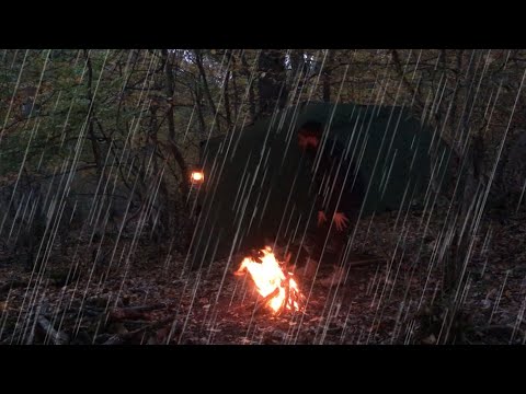 surviving in rainforest-no tent-no sleeping bag: bushcraft