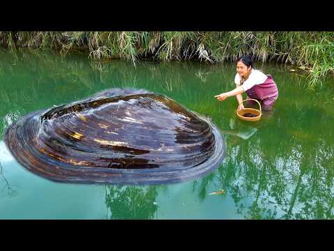 This is the origin of pearls, with abundant resources