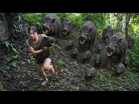 Survival Skills: Discovering Wild Boars and Quickly