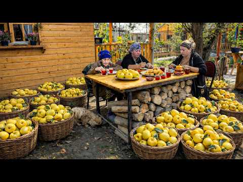 Harvesting Fresh Quince | Cozy Homemade Compote, Jam &