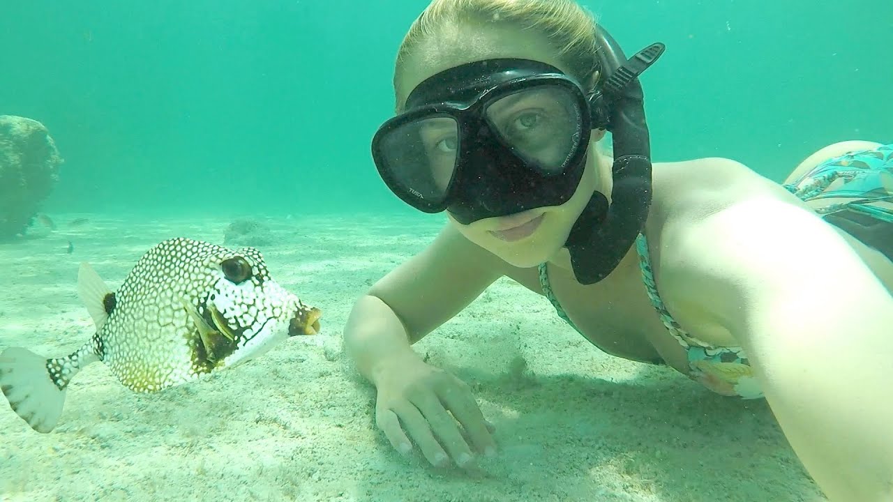 Snorkeling UNDER A LIGHTHOUSE