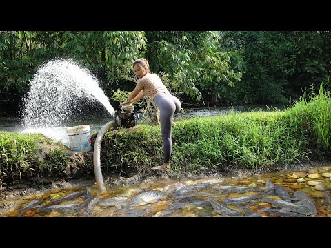 Fishing Video | Fishing Technique, Survival Skills, Catch a