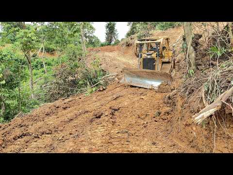 Forming Oil Palm Plantation Terraces Before and After the
