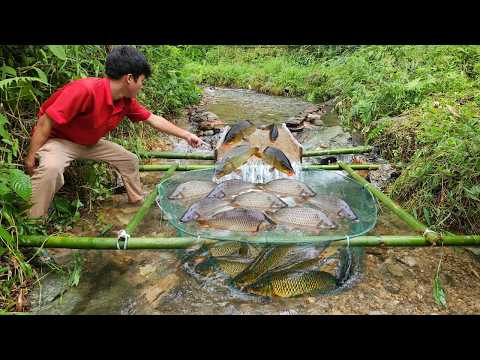 Lam went back to check the two fish traps and was surprised