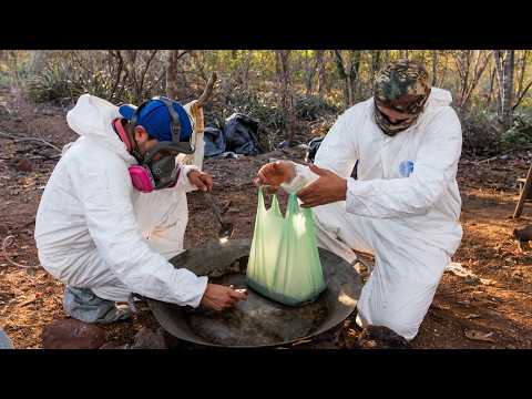 Sinaloa: How Mexico’s Most Powerful Cartel Built a Global