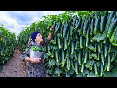 Fresh from the Garden: Grandma’s Secret Pickle & Lemon
