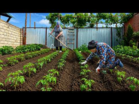 Step-by-Step with Grandma: Traditional Secrets for Planting