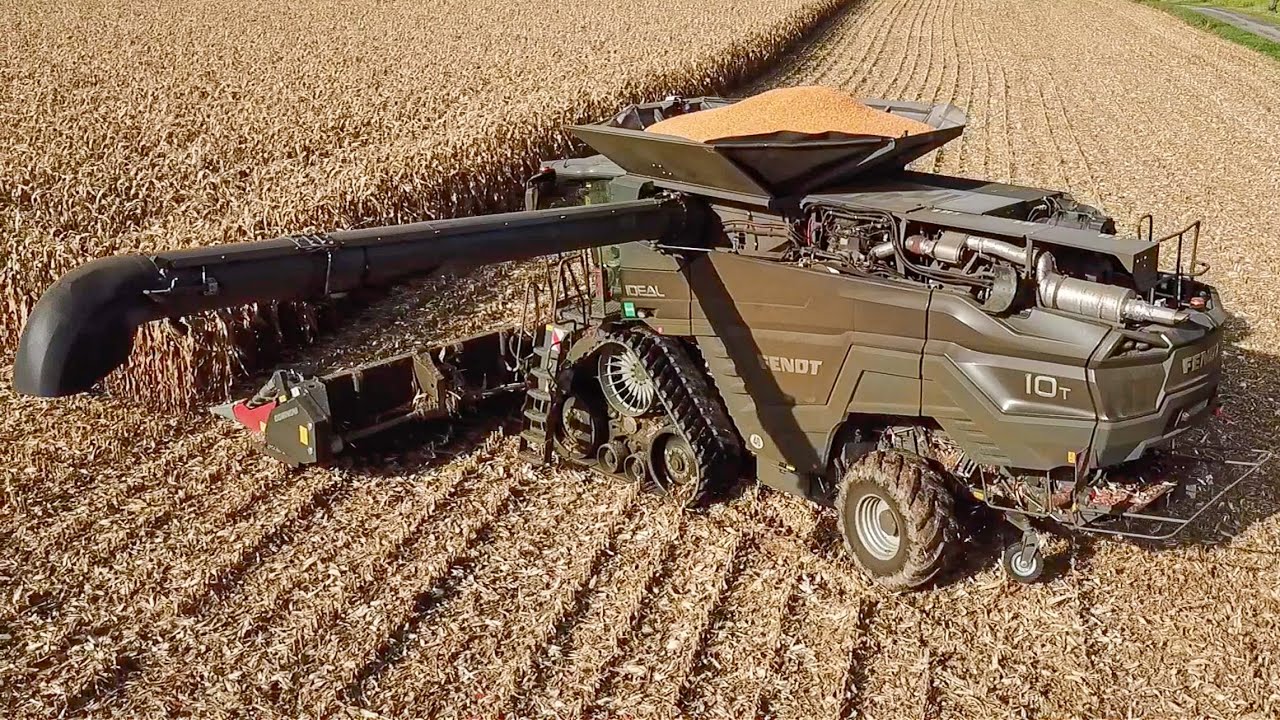 FENDT IDEAL 10T + 939 Vario bei der Maisernte 2023