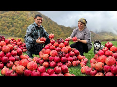Traditional Village Life Making Mountain Pomegranate Jam
