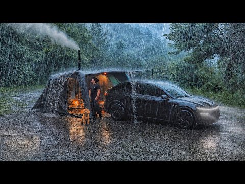 Camping in Heavy Rain with My Dog Tesla Connected to