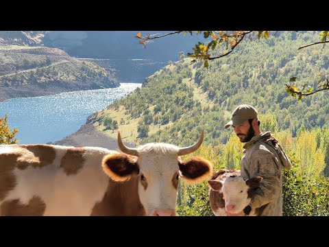 Cennetten Bir Yaşam: Dağ Köyünde Huzurlu Köy Hayatı