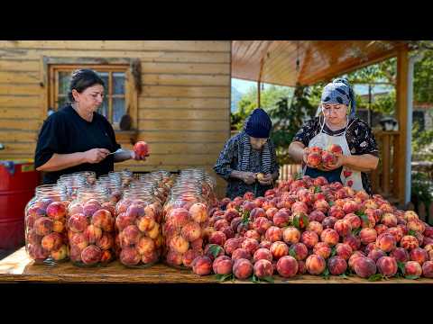 We Picked Fresh Peaches from the Village Garden and Made