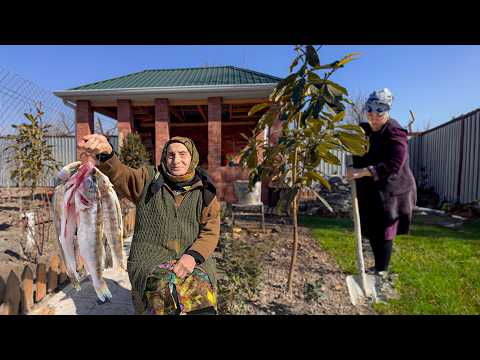 Catching Sea ​​Bass Fish and Cooking Azerbaijani Dish Fish
