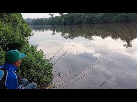 Pescaria de Curimba e Piau na corredeira Rio turvo ponte