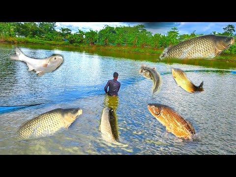 Amazing Net Fishing Video 2026 10 Boy Catching Big Fish