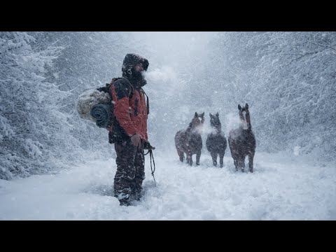 Can I Survive 2 Days Alone in a -21°C Blizzard With No