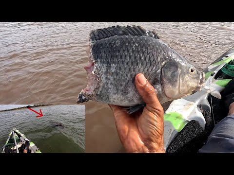 Pescaria de tucunaré no Rio grande tem coisas que é melhor