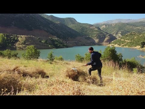 Dağ köyünde yaşayan adamın huzurlu yaşamı Peaceful life in