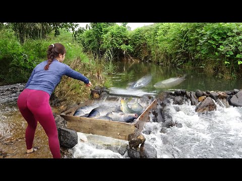Fishing Techniques | Method Of Creating Traps To Catch